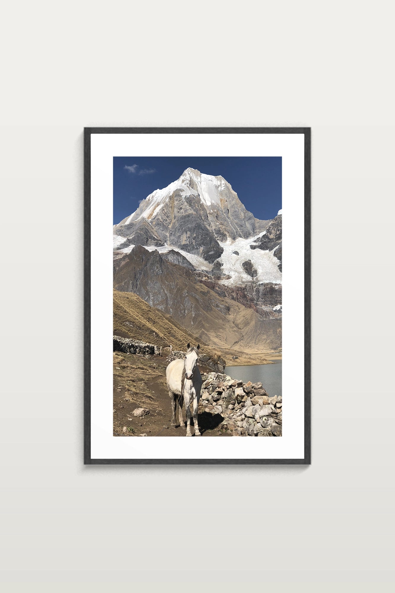 Compagnon de l’altitude