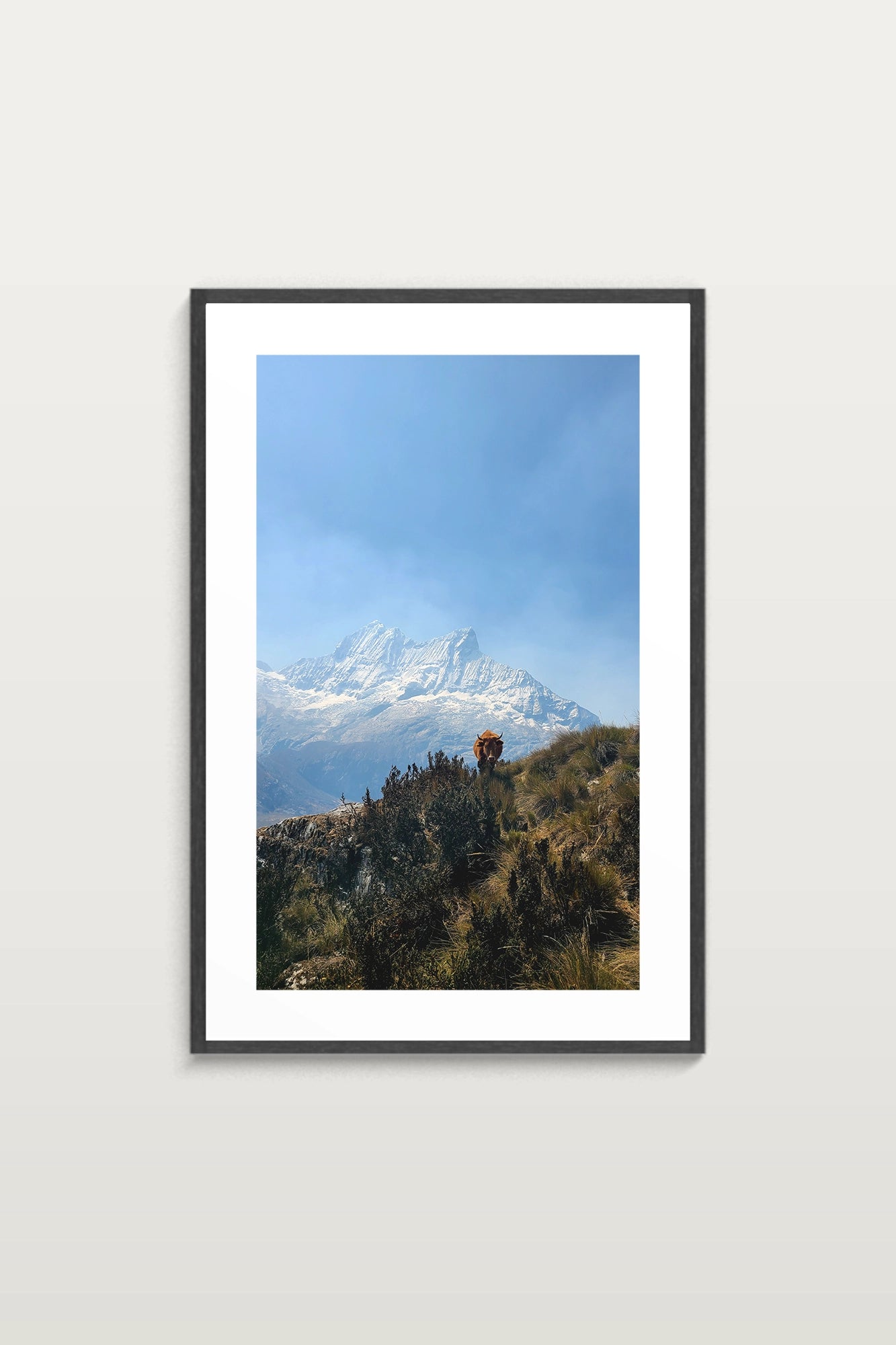 Rencontre à flanc de montagne